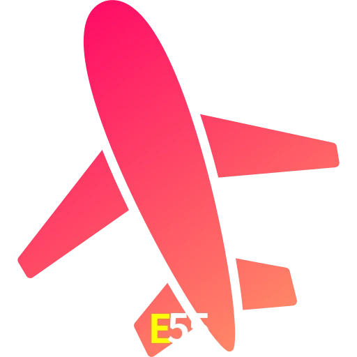 E55