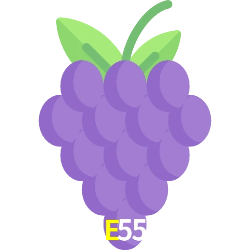 E55